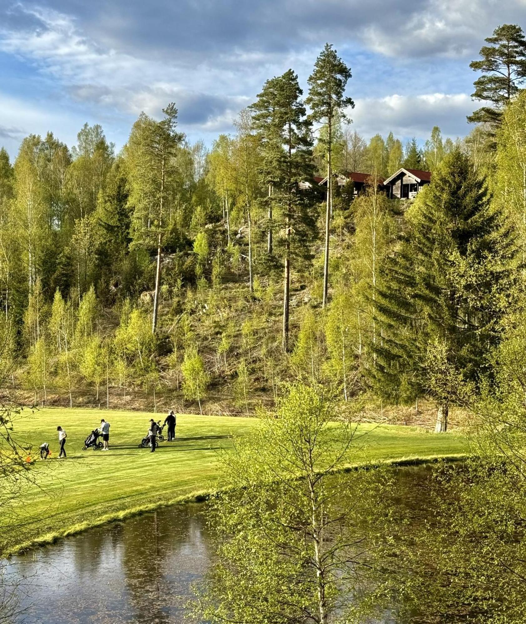 Noretjaerns Stugby Årjäng Екстериор снимка